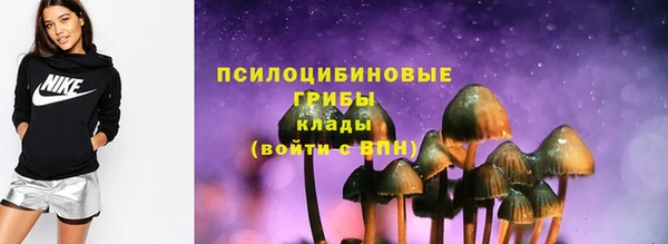 шишки Алзамай