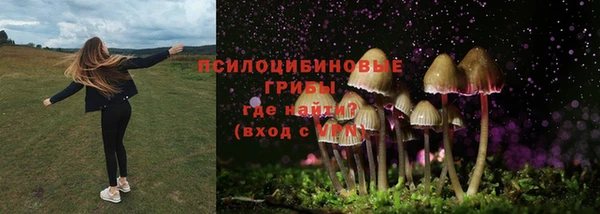 соль курить ск Алексеевка