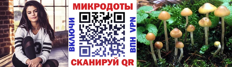 Галлюциногенные грибы Psilocybe  Дмитриев 